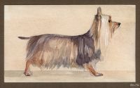 Лот: 16930385. Фото: 2. Картина акварелью Собаки - болонки. Изобразительное искусство