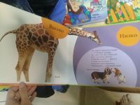 Лот: 13985071. Фото: 7. Книги детские . 12 книг одним...