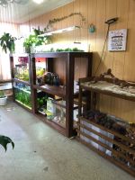 Лот: 25885488. Фото: 3. Продается студия аквариумного... Растения и животные