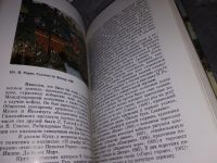 Лот: 11291293. Фото: 15. Рассказ о русской живописи, Г...