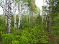 Лот: 14536875. Фото: 4. Продается участок 14 сот. , цена... Красноярск