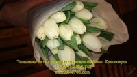 Лот: 1503331. Фото: 18. Шикарные тюльпаны EXTRA+ оптом...