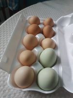Лот: 19179629. Фото: 2. Яйца. Продукты