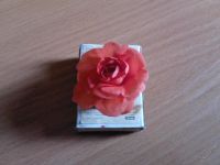 Лот: 96878. Фото: 3. Бальзамин. Растения и животные