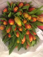 Лот: 5171894. Фото: 11. 8 МАРтА !!! ТЮЛьПАНЫ ОПТОМ И В...
