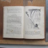 Лот: 25708791. Фото: 4. Книга Всадники ниоткуда. Абрамов...