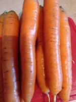 Лот: 20892234. Фото: 2. Морковь из деревни. Продукты