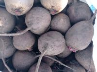 Лот: 20872162. Фото: 2. Свекла круглая. Продукты