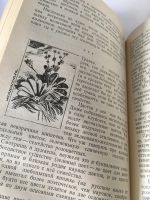 Лот: 13360267. Фото: 7. 📕 Владимир Солоухин. Созерцание...