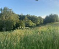 Лот: 25552850. Фото: 2. участок , село Вознесенка село... Продажа