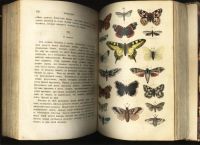 Лот: 16956275. Фото: 17. Джонатан Франклин . Естественная...