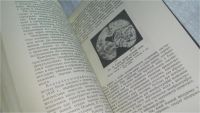 Лот: 10587713. Фото: 3. Опухоли головного мозга. Клиника... Литература, книги