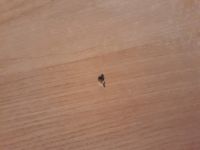 Лот: 13883822. Фото: 2. стол компьютерный. Офисная мебель и домашние кабинеты