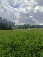 Лот: 25618007. Фото: 9. участок , СНТ Рублёвка Смоленская...