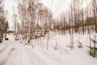 Лот: 25294808. Фото: 3. участок , ДНТ Чёрная Сопка ДНТ... Недвижимость