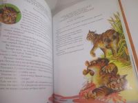 Лот: 25898896. Фото: 18. OzЮ/ВбР(5092324а)Коты-воители...