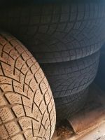 Лот: 17110392. Фото: 2. Шины Dunlop SP Sport Winter 3D. Шины, Диски