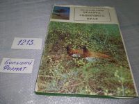 Лот: 18477101. Фото: 11. Красота солнечного края. Записки...