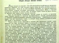 Лот: 17308078. Фото: 2. Брэм. Жизнь животных. Том II... Антиквариат
