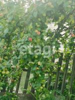 Лот: 25288959. Фото: 15. 3-комн. дача , садоводческое некоммерческое...