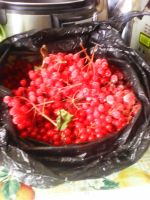 Лот: 8123769. Фото: 2. калина урожай 2016 заморозка. Продукты