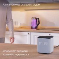Лот: 21542435. Фото: 4. Умная колонка Яндекс Станция Миди... Красноярск
