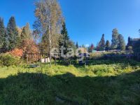 Лот: 25310352. Фото: 6. 3-комн. дача , СНТ Кедр СНТ Кедр...