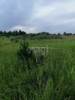 Лот: 25292802. Фото: 4. участок , ,. продажа. Красноярск