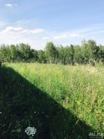 Лот: 14021566. Фото: 5. Земельный участок