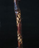 Лот: 19045588. Фото: 5. Трость ворон резьба