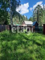 Лот: 25289806. Фото: 13. 1-комн. дача , СНТ Зелёный Ручей...