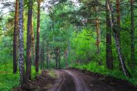 Лот: 11340475. Фото: 18. Кузнецово