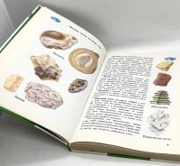 Лот: 25412283. Фото: 6. 📗 А. Плешаков. От земли до неба...