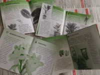 Лот: 20107776. Фото: 2. Книжечки советы для цветоводов... Дом, сад, досуг