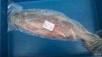 Лот: 8020490. Фото: 2. РЫБА свежемороженая. Продукты