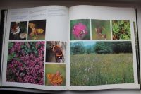 Лот: 10861290. Фото: 4. Книга. "Беловежская пуща". Подарочное... Красноярск
