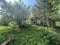 Лот: 25289573. Фото: 4. 1-комн. дача , садоводческое некоммерческое... Красноярск
