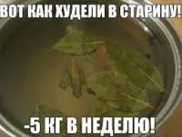 Лот: 4302961. Фото: 2. Лавровый веник, свежопривезённый... Продукты