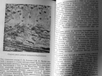 Лот: 19280338. Фото: 5. Дойель Лео. Полет в прошлое. Серия...