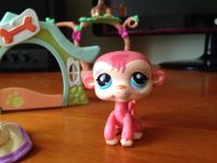Лот: 4420457. Фото: 3. Зверушки Littlest Pet Shop LPS... Дети растут