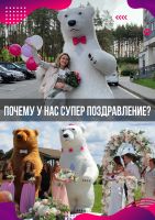 Лот: 19390002. Фото: 2. Белый медведь панда поздравление... Организация праздников, развлечения, съемка