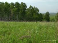 Лот: 12955351. Фото: 3. Продается участок 10 соток земельный... Недвижимость