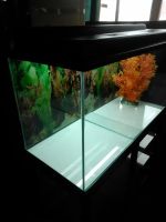 Лот: 8590989. Фото: 5. Аквариум 200л+крышка+стойка