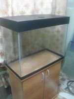 Лот: 4898235. Фото: 2. Аквариум 122л+крышка+Тумба. .Новый... Аквариумистика