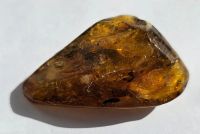 Лот: 25335738. Фото: 6. Янтарь с инклюзом (Жук)