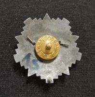 Лот: 21580512. Фото: 2. Знак командного состава армии... Военная атрибутика