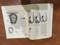 Лот: 25190851. Фото: 2. Учимся рисовать. Учебники и методическая литература