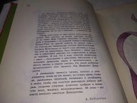 Лот: 18120250. Фото: 3. Давыдычев Л. Друзья мои, приятели... Литература, книги