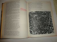 Лот: 13290639. Фото: 2. Книга 1917 г.,краткая история... Общественные и гуманитарные науки