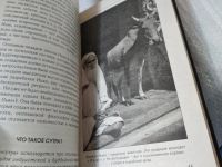 Лот: 17537270. Фото: 8. Бернс К. Загадки восточной мудрости...